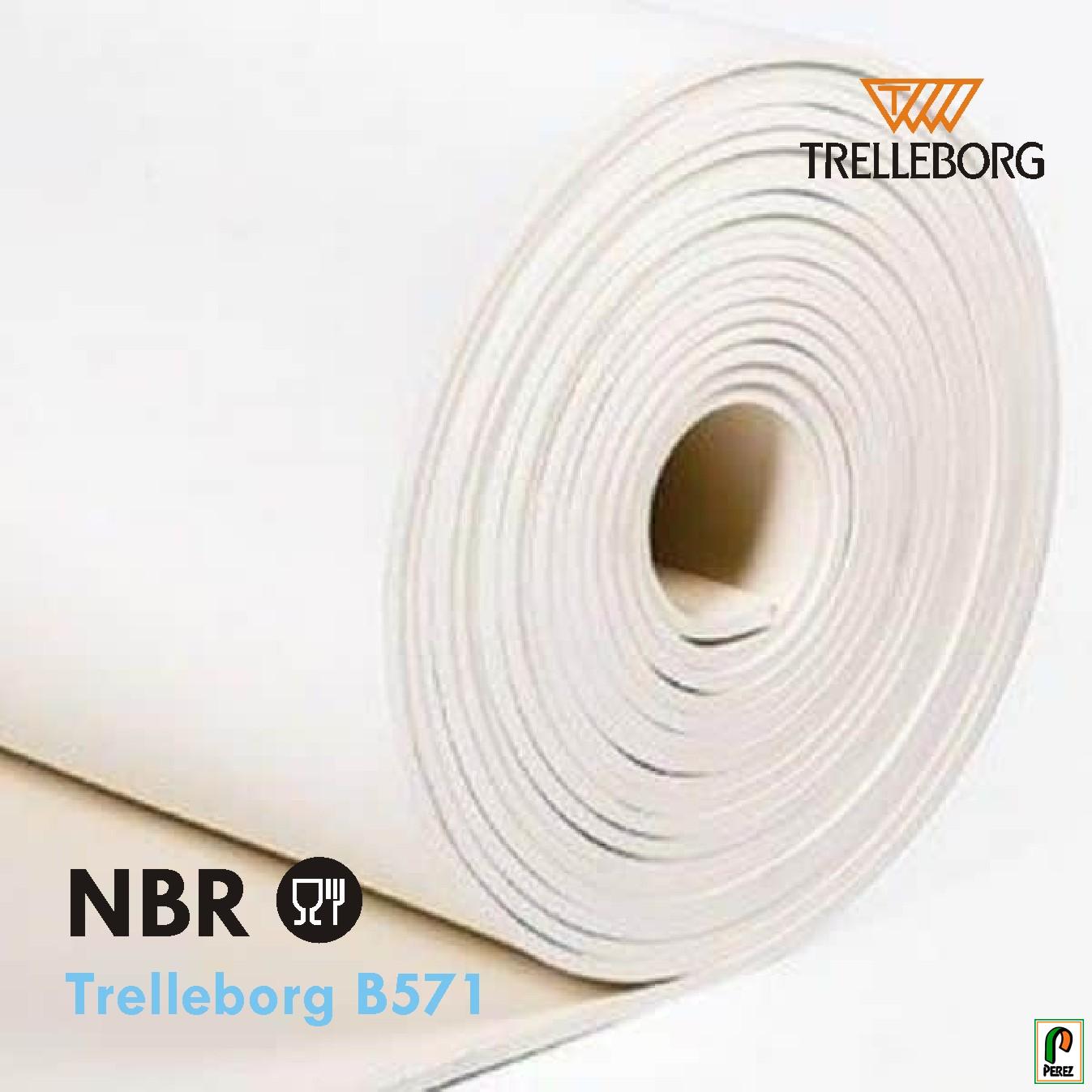 Plancha Nitrilo NBR Alimentario